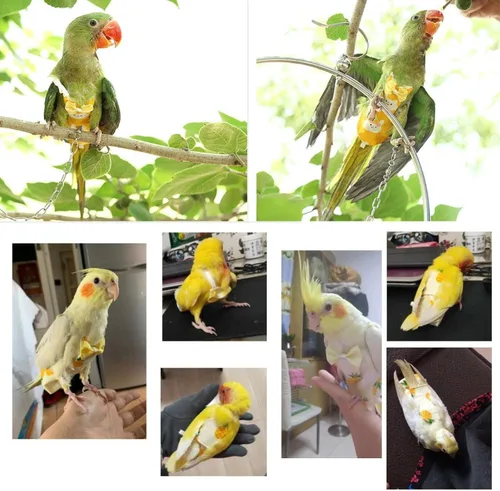 Miniatura 7 de QBLEEV Pañal para Aves Ropa de Cacatúa Traje de Vuelo, Pañal Reutilizable para Loro con Capa Interior Impermeable, Lindos Pantalones de Paloma Piña