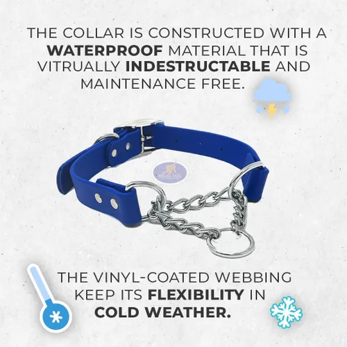Miniatura 9 de Regal Dog Products Collar Martingale para perros – Collar impermeable de bioano para perros pequeños, medianos y grandes – Cadena resistente