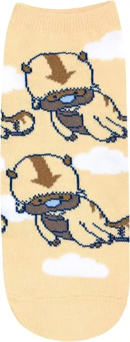 Miniatura 6 de Hyp Avatar The Last Airbender Aang Appa Yip Yip JuniorsWomens 5 Pack Calcetines tobilleros