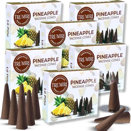 Miniatura 31 de TRUMIRI Incienso ámbar – Paquete de 20 conos (2 x 10) – Incienso de cono perfumado