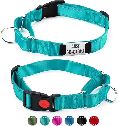 Miniatura 4 de Collar de perro Martingala personalizado con hebilla de bloqueo, collares de perro Martingala de entrenamiento personalizados grabados con nombre