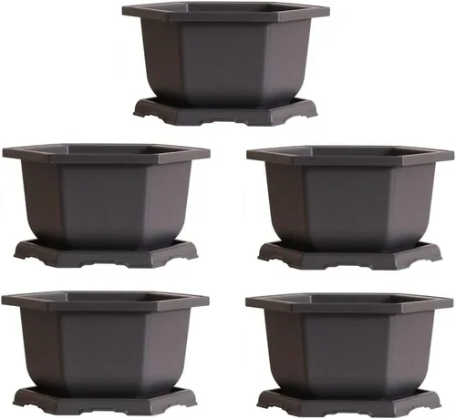 Miniatura 2 de CZ Grain Olla hexagonal grande para bonsái y bandeja de goteo, contenedor de 11 pulgadas con bandeja (1 maceta)