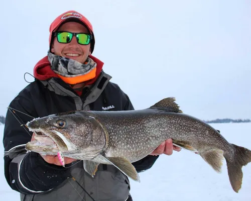 Miniatura 7 de Northland - Cuchara de sonajero de pesca en hielo, varios tamaños y colores para lucioperca, perca, panfish y trucha