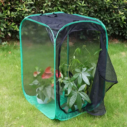 Miniatura 6 de RESTCLOUD Hábitat grande de mariposa monarca de 36 pulgadas, jaula de malla plegable gigante para insectos, terrario, 24 x 24 x 36 pulgadas