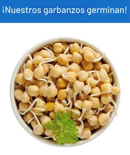 Miniatura 7 de Bolsa de garbanzos, proyecto verificado sin OGM 100% sin irradiadiar Certificado Kosher Parve cultivado en EE.UU. Con rastreo de campo