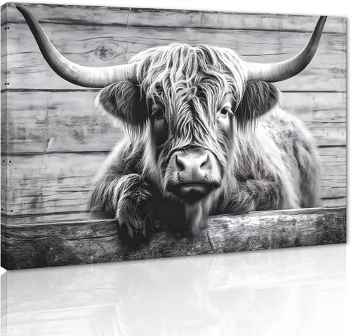 Miniatura 39 de Póster moderno de pared de vaca de las tierras altas, póster impreso en lienzo alpino desierto, decoración de pared de animales para sala de estar
