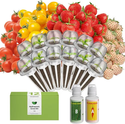 Miniatura 11 de inbloom Kit de vainas de semillas verdes para ensalada orgánica para AeroGarden, sistema de cultivo hidropónico Ahopegarden, alimento bajo