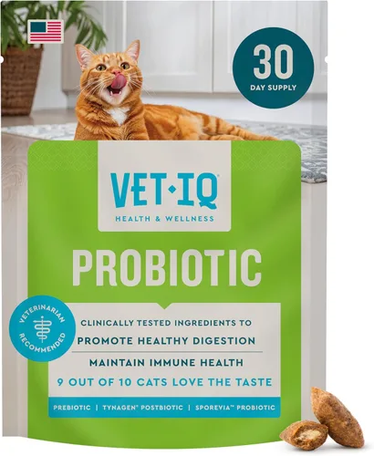 VetIQ Suplemento de probióticos para gatos: probióticos, prebióticos y postbióticos para gatos, apoyo para la salud digestiva e intestinal, alivio