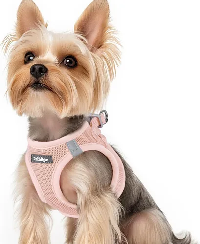 Miniatura 116 de rabbitgoo Arnés para perro pequeño, chaleco de malla suave para cachorros con hebilla de seguridad, arnés reflectante transpirable para mascotas