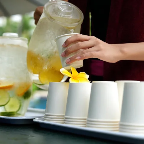 Miniatura 7 de Tazas de papel RAZCC de 8 oz, paquete de 300 unidades de 8 oz, tazas de café desechables de papel, tazas de café de 8 oz para bebidas frías
