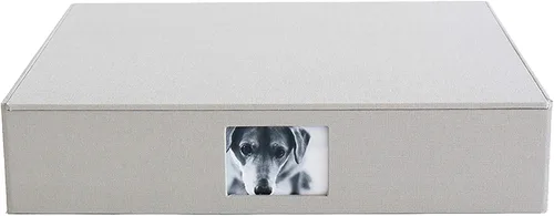 Kolo Havana Archival - Caja de almacenamiento de fotos, grande, color platino Platinado
