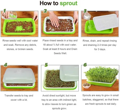 Miniatura 6 de SUNPRO Paquete de 2 bandejas para germinar semillas sin BPA, PP sin tierra, gran capacidad, contenedor de germinación de pasto de trigo saludable