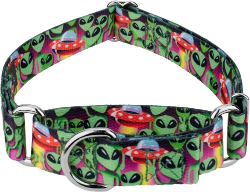 Country Brook Petz - Collar de perro Martingale Space Aliens - Colección Geek Chic con diseños para cualquier mega fan (5/8 pulgadas, pequeño)