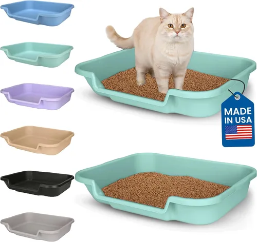 Miniatura 34 de KittyGoHere - Caja de arena para gatos mayores, sartén pequeña con cuchara jumbo de mango largo, caja de arena para gatos de entrada baja, ligera