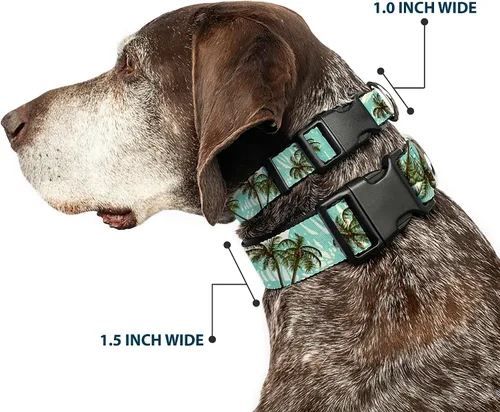 Miniatura 2 de Buckle-Down Collar de clip de plástico con palmeras de 9 a 15 pulgadas, tamaño pequeño