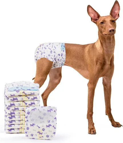 Miniatura 11 de MICOOYO Pañales desechables para perras, pañales para perras, pañal para mascotas súper absorbente con agujero de cola de espuma para el celo