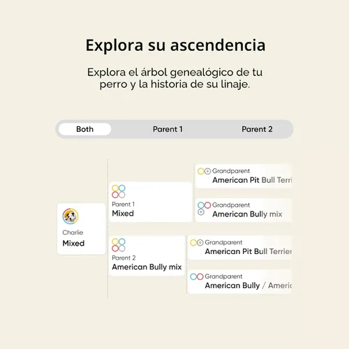 Miniatura 6 de Kit de raza y salud Embark - Kit de prueba de ADN para perros - Descubre raza, ascendencia, localizador de parientes, salud genética, rasgos