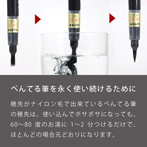 Miniatura 4 de Pentel Pluma de pincel Fude (XFL2W)