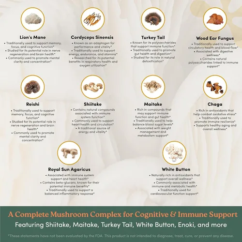 Miniatura 5 de Mushroom+ Blend 10 cápsulas complejas de hongos Melena de león, Reishi, Cordyceps y Chaga Enfoque + Claridad, energía y apoyo inmunológico