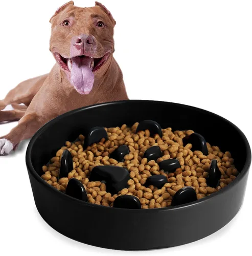 Ceramic Fun - Cuenco de alimentación lenta de porcelana, cuenco de comedero lento para perros medianos (negro)