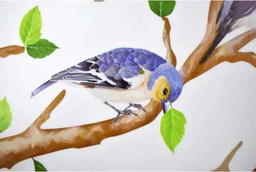 Miniatura 7 de Maydahui Vinilo adhesivo de pared con diseño de pájaros en ramas de árbol (34 x 34 pulgadas) removible para despegar y pegar, murales artísticos