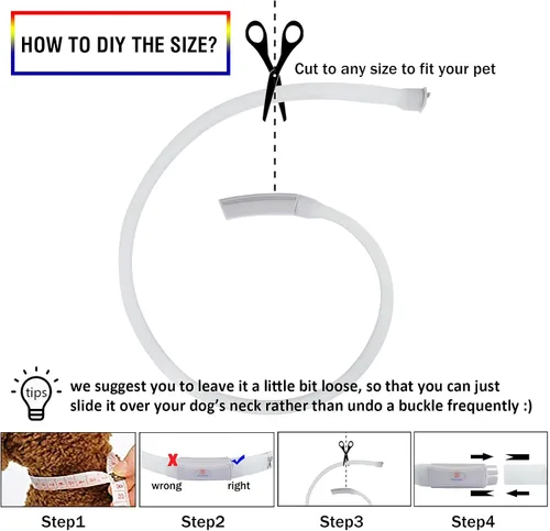 Miniatura 5 de Collar de perro recargable USB-C, collar de luz multicolor súper brillante, resistente a la intemperie, luz de seguridad para caminar por la noche