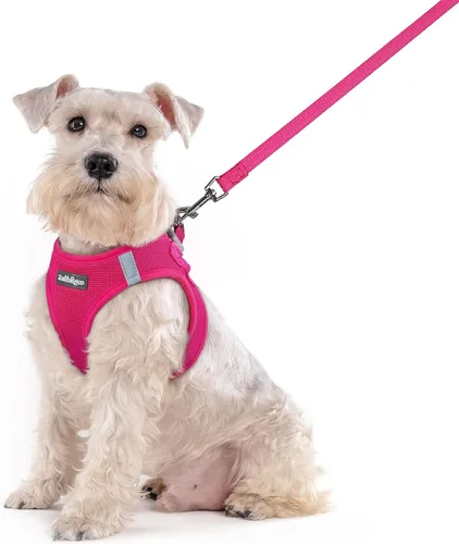 Miniatura 62 de rabbitgoo Juego de arnés para perro de tamaño pequeño y correa, chaleco ligero suave para cachorro, arnés de malla transpirable para mascotas