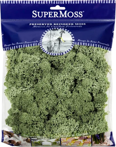 SuperMoss Reno preservado, verde musgo