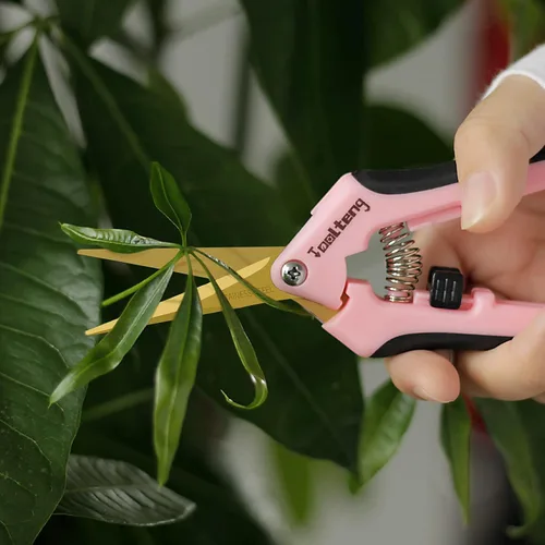 Miniatura 7 de Paquete de 6 tijeras de podar con cuchillas curvas, tijeras de podar de jardín, tijeras de podar a mano de jardinería con revestimiento de titanio