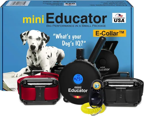 Educator ET-302 Collar Mini Negro E para Adiestramiento de Perros con Control Remoto - Alcance de 1/2 Milla, Resistente al Agua, 100 Niveles de