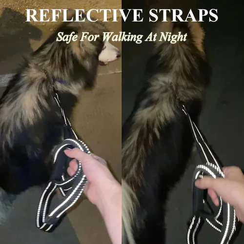 Miniatura 4 de ECO-CLEAN Correa reflectante de entrenamiento para perros de 6 pies, absorción de golpes, correa de perro retráctil fuerte para perros medianos