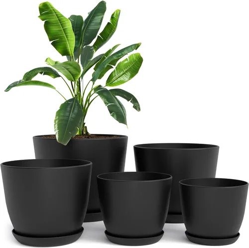 Miniatura 28 de Utopia Home - Macetas de Interior con Drenaje - Macetas de Flores de 7/6.6/6/5.3/4.8 Pulgadas para Plantas de Interior - Juego de 5 Macetas