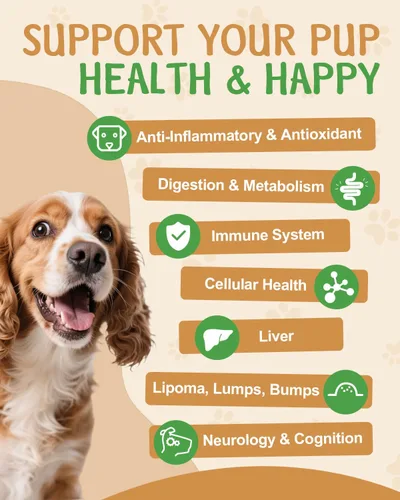 Miniatura 4 de Suplemento de hongos 9 en 1 para perros, hongo de cola de pavo para perros, tratamiento de bultos y protuberancias para perros, soporte digestivo