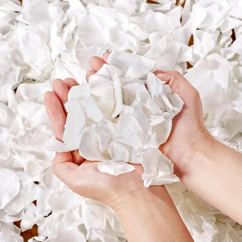 Miniatura 12 de 200 pétalos de rosa negros reales secos, pétalos de flores preservados de 1.75 onzas para regalos, decoración de fiesta de boda, niña de las flores