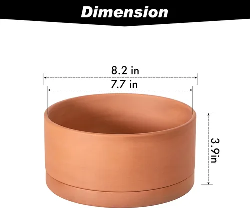 Miniatura 3 de D'vine Dev Maceta de Terracota Poco Profunda para Suculentas de 8 Pulgadas con Orificio de Drenaje y Platillo, Maceta Cilíndrica Redonda