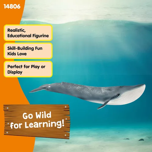 Miniatura 2 de Schleich Wild Life - Figurina realista de ballena azul, juguete de animal acuático auténtico y altamente detallado, duradero para la educación