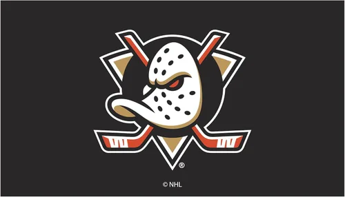 Team Sports America Tapete con licencia oficial de la NHL | 28 x 16 pulgadas (Anaheim Ducks)