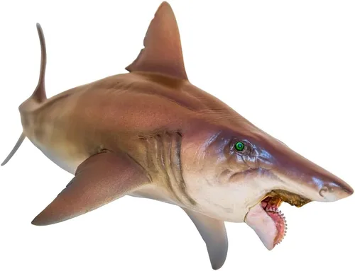 Miniatura 9 de PNSO Animal marino (Patton El Megalodon (tiburón blanco grande) 13")