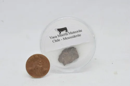 Miniatura 7 de Meteoritos de todo el mundo - Auténtica colección de fragmentos de meteoritos de 8 piezas con vitrina Regalo educativo de ciencia para niños