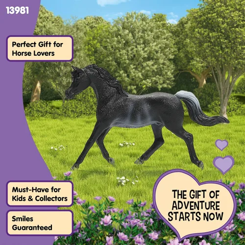 Miniatura 5 de Schleich Horse Club - Figura de semental árabe Rabicano - Figuras de poni para niñas y niños - Juguetes para niños a partir de 5 años