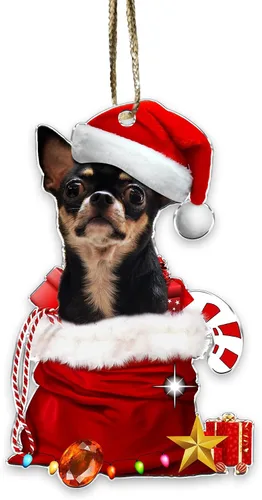 Miniatura 13 de Adorno acrílico plano de Navidad para perro de montaña bernés, adorable cachorro de montaña bernés en calcetín con bastones de caramelo, decoración