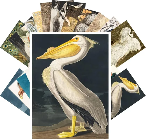 Miniatura 3 de Pixiluv Postales vintage (24 piezas de 10x15 cm cada una) Ilustración de libro botánico antiguo de colibríes y pájaros pequeños Tarjetas de nota Agua