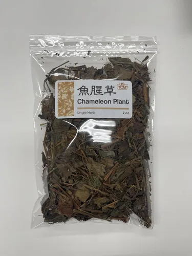 Miniatura 3 de Nuevo Embalaje Planta Camaleón Heartleaf Houttuynia Yu Xing Cao 2 oz