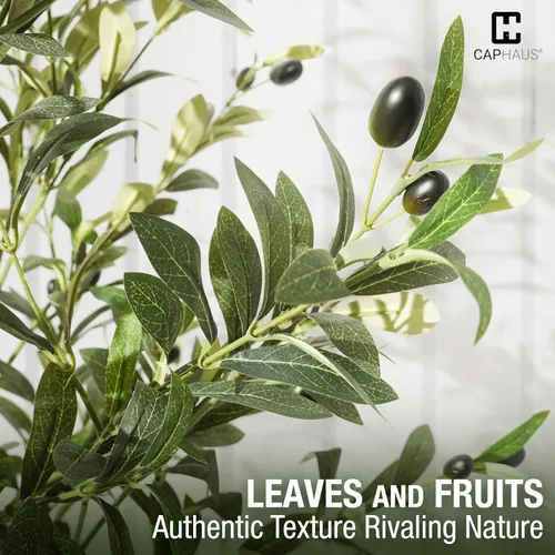 Miniatura 4 de CAPHAUS Árbol de olivo artificial de 5 pies y 60 pulgadas, planta sintética en maceta, rama de olivo sintético y fruta, árbol topiario falso
