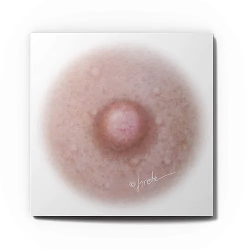 Miniatura 4 de Tatuajes temporales para cáncer de mama para mujeres, 10 pares, tatuaje temporal de areola, tatuaje temporal posmastectomía, solución de pezón