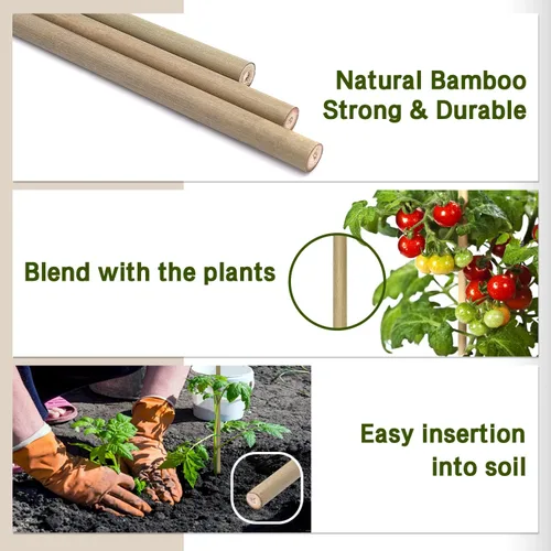 Miniatura 2 de BOVITRO - Estacas para plantas, palitos de bambú natural de jardín de 18 pulgadas, 20 estacas de apoyo para plantas de tomates, frijoles, vegetales