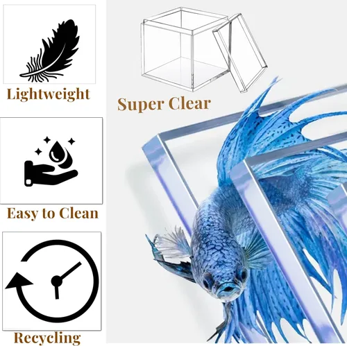 Miniatura 3 de KissYou Caja de acrílico con tapa, caja de exhibición transparente, 8 piezas de plástico cuadrado cubo transparente, caja de almacenamiento
