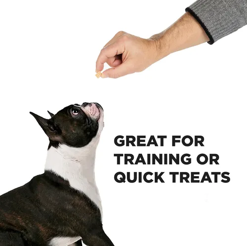 Miniatura 3 de Hive Bites - Golosinas de entrenamiento para perros, sabor a maní, pequeñas golosinas de recompensa hechas con cacahuetes molidos y miel