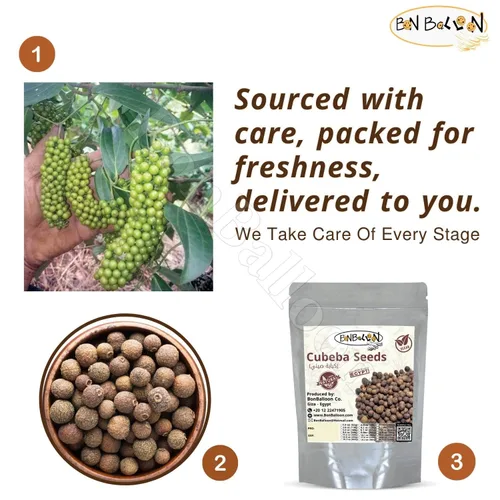 Miniatura 5 de Semillas de Cubeba secas Kabab Semillas enteras Piper Cobeba Linn Cubeb Bayas de cocina Condimento Especias Hierbas Hierbas Hierbas Naturales