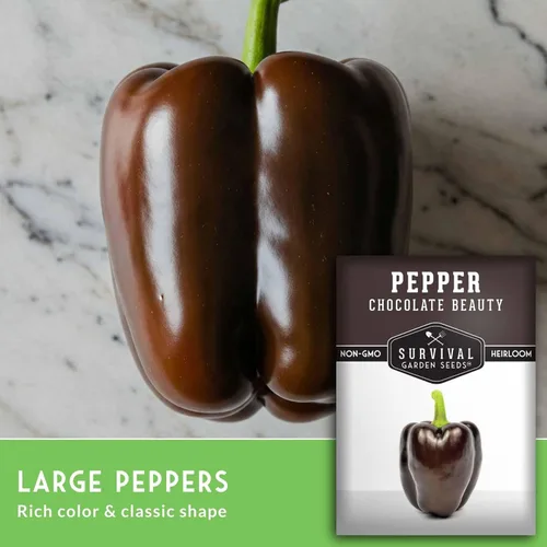 Miniatura 3 de Survival Garden Seeds - Semilla de pimienta Chocolate Beauty para plantar - Paquete con instrucciones para plantar y cultivar hermosos pimientos